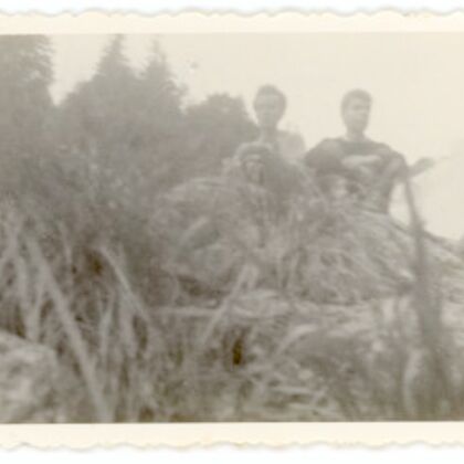 Excursie la Cascada Șerbota