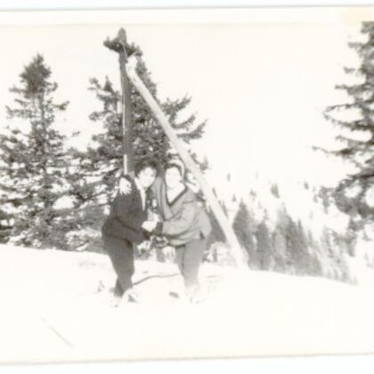 Excursie în Munții Carpați