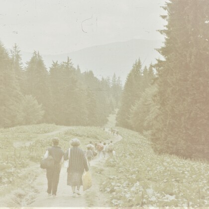 Spre Cabana Gârbova