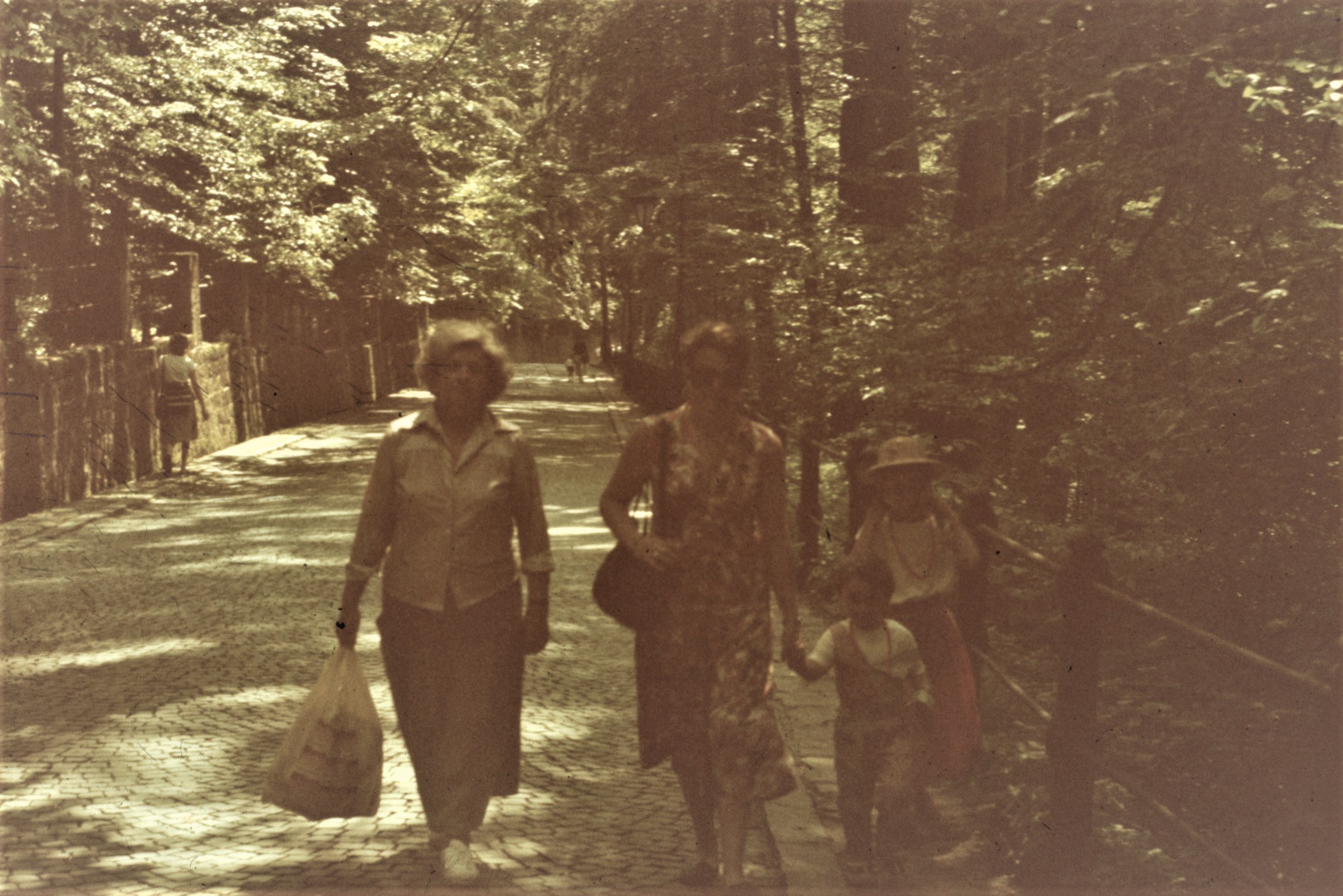 Spre Castelul Peleș